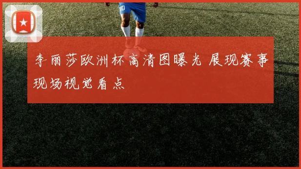 李丽莎欧洲杯高清图曝光 展现赛事现场视觉看点