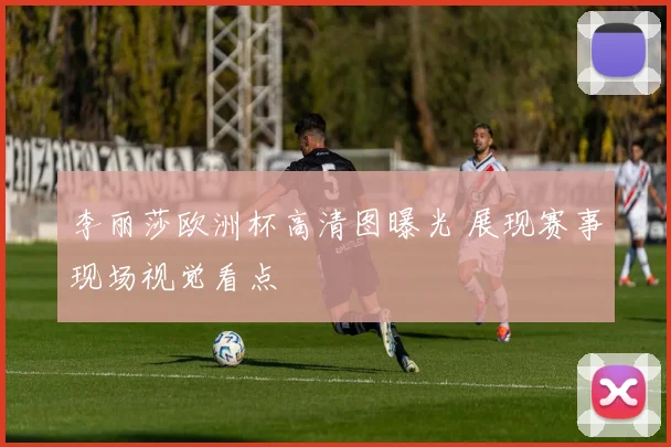 李丽莎欧洲杯高清图曝光 展现赛事现场视觉看点