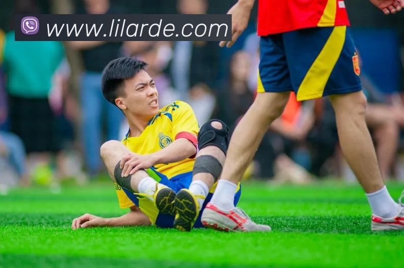 App Interface Preview